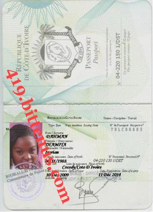 My international passport